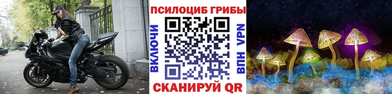 Купить  Струнино  Псилоцибиновые грибы прущие грибы 